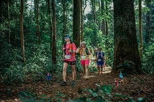 BIB: 
                            <button type="button" onclick="openModal(26131485)" class="btn btn-primary btn-sm float-right btn-popup" data-toggle="modal" data-target=".modal-high-quality">
                        <i class="fas fa-shopping-cart"></i> Add to Cart
                    </button>
                                            <button type="button" onclick="isThisMe(26131485, true)" class="btn btn-success btn-sm float-right btn-popup btn-isme hidden" data-toggle="tooltip" data-placement="bottom" title="นี่คือรูปของคุณใช่ไหม คลิกที่นี่เพื่อเอาเข้าอัลบั้ม">
                        <i class="fas fa-plus"></i> Add to album
                    </button>
                    <button type="button" onclick="isThisMe(26131485, false)" class="btn btn-warning btn-sm float-right btn-popup btn-isnotme hidden">
                        <i class="fas fa-ban"></i> Remove from album
                    </button>